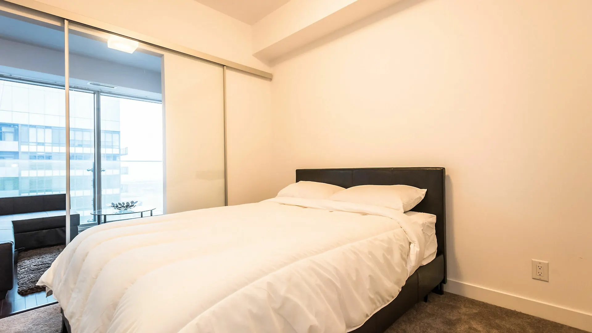 Downtown Luxury Lakeview Condo Apartment